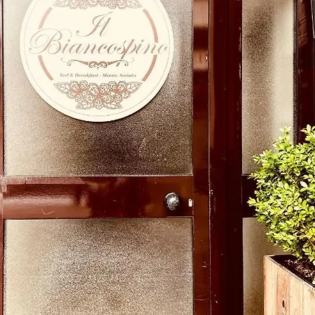 Il Biancospino *